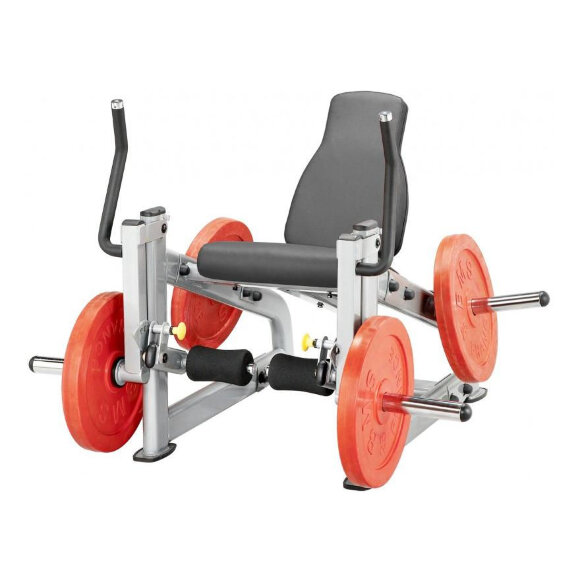 Разгибание ног сидя на свободных весах Steelflex PLLE